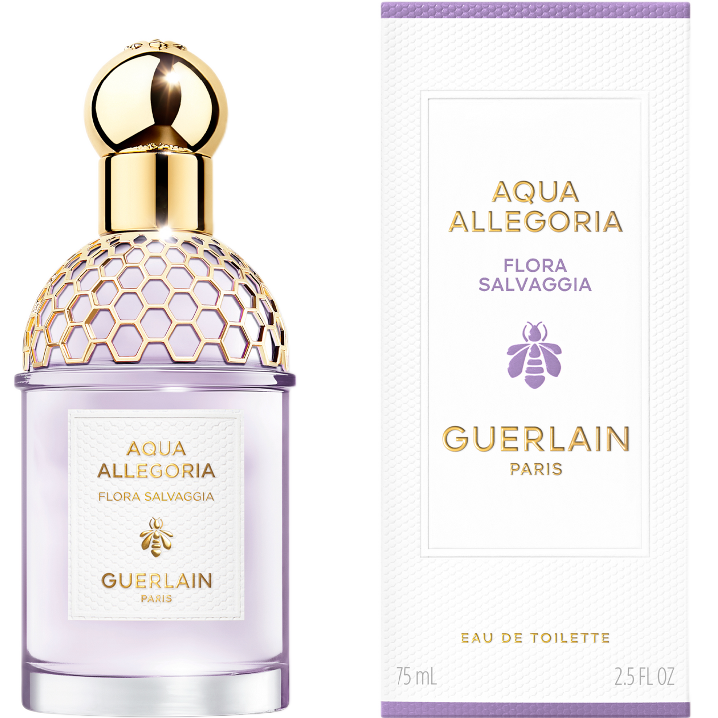 aquaallegoria047
