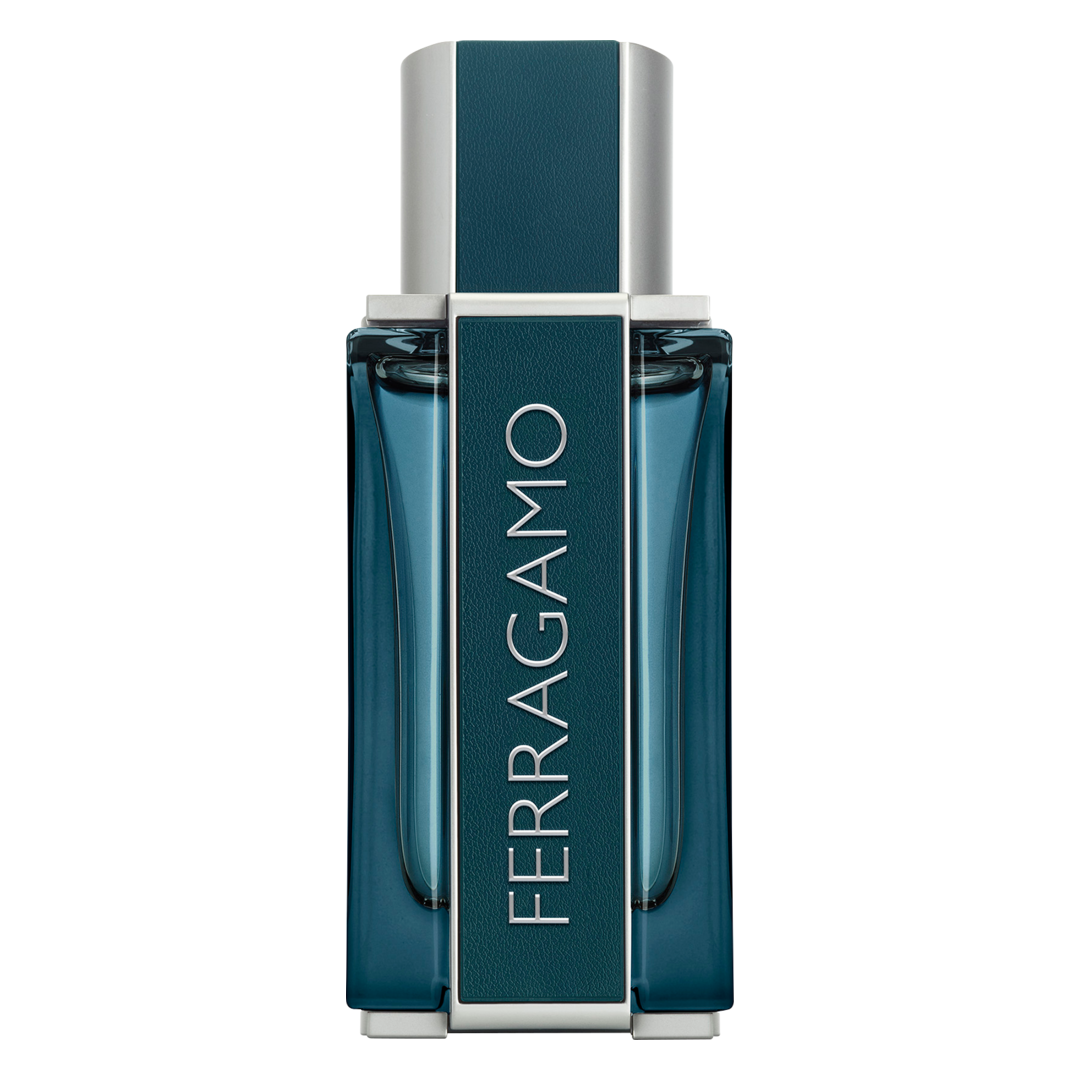 ferragamoman011