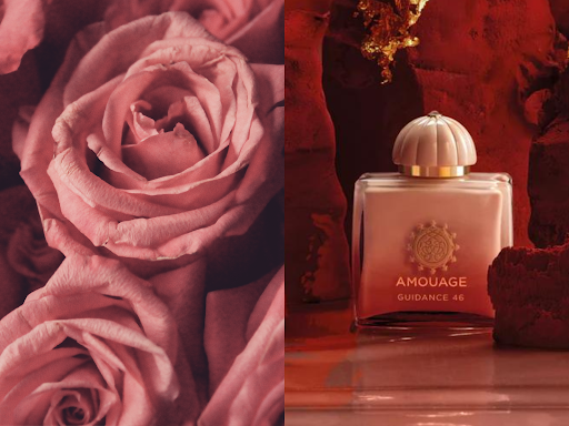 Roses on the left, and a bottle of Amouage Guidance 46 on the right
