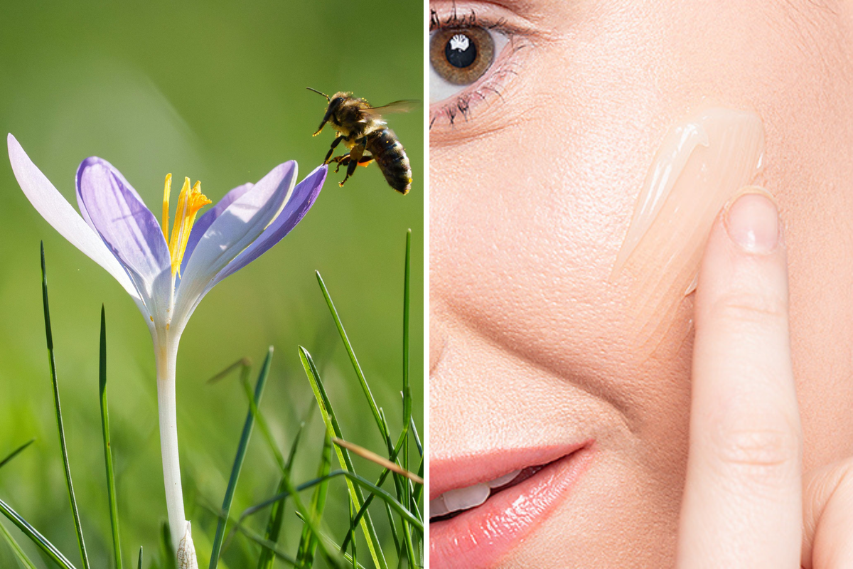 Chelsey’s Spring Skincare Edit: How to Transition Your Routine