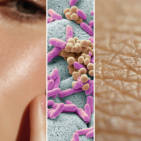 Why Skin Immunity is Your Most Valuable Skincare Asset