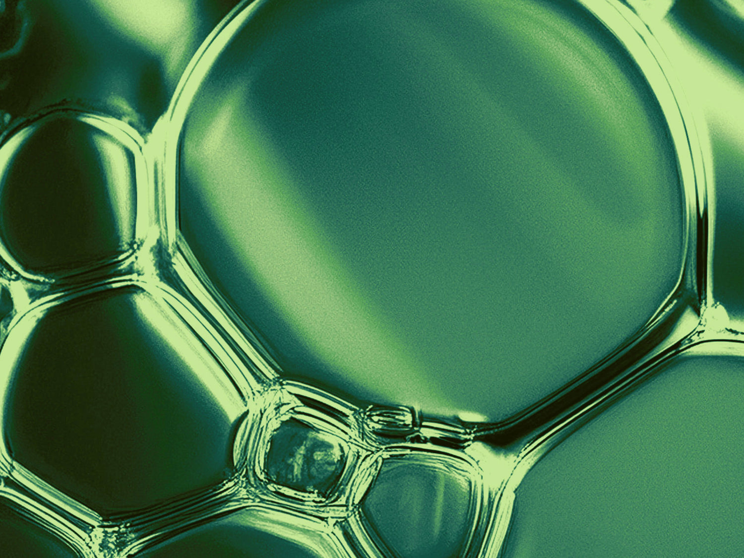 Antipodes Anti Ageing Skincare