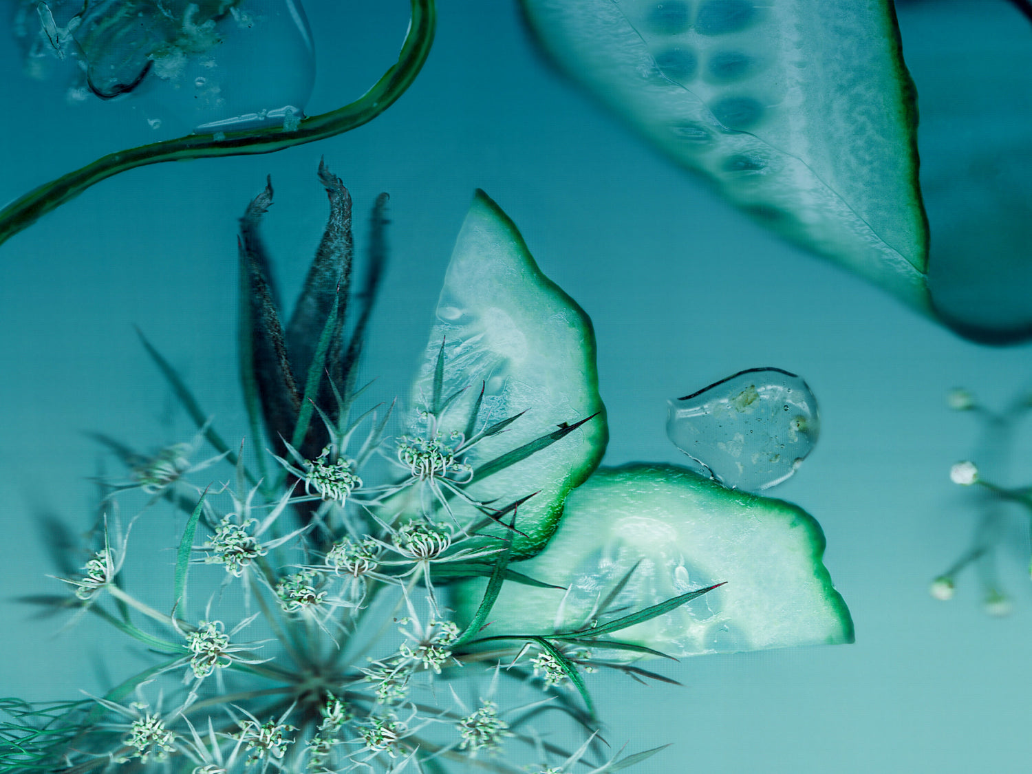 Antipodes Skincare For Dehydrated Skin