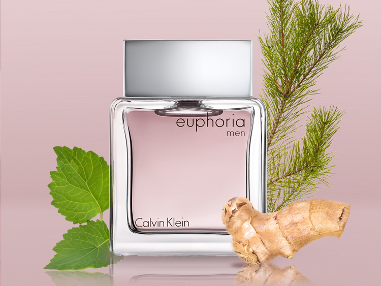 Calvin Klein Euphoria For Men