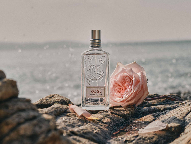 L'Occitane Fragrances