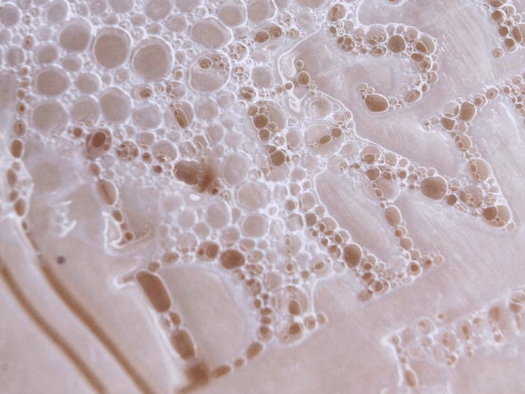 Nesti Dante Gli Officinali