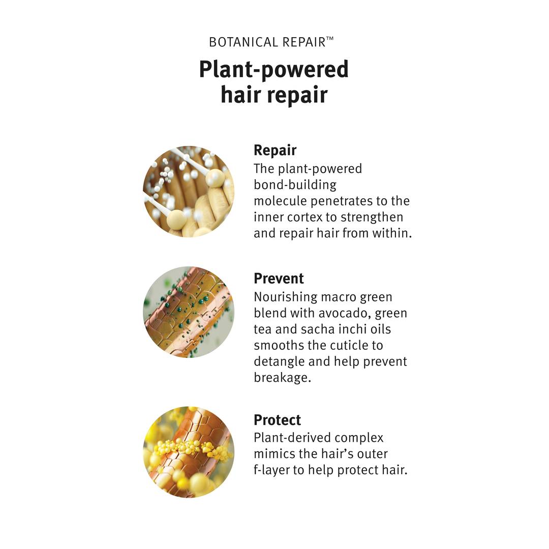 Aveda Botanical Repair Intensive Strengthening Masque Rich