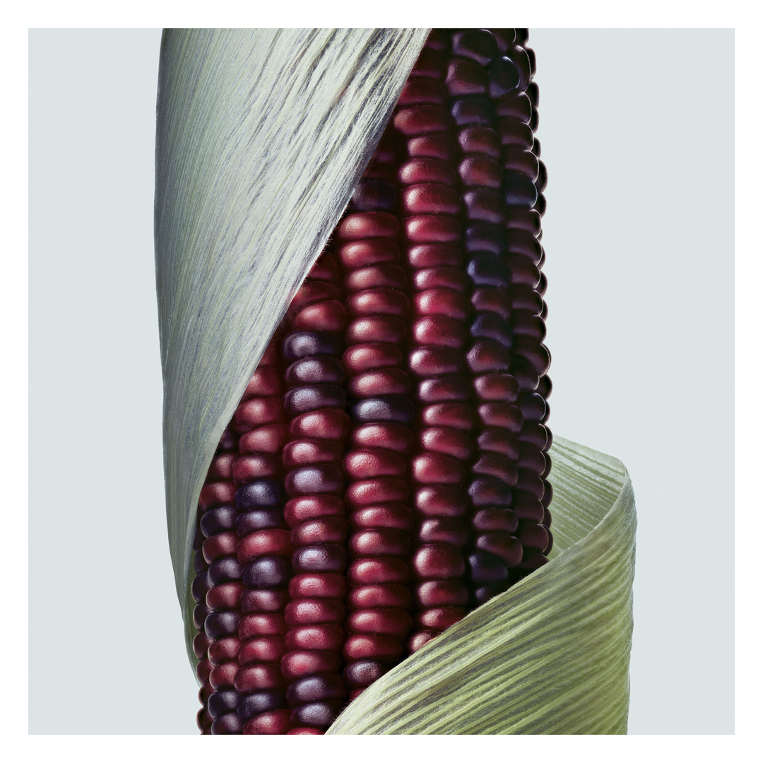 Aveda Botanical Repair Intensive Strengthening Masque Rich