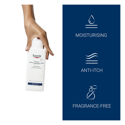 eucerindermocapillaire001