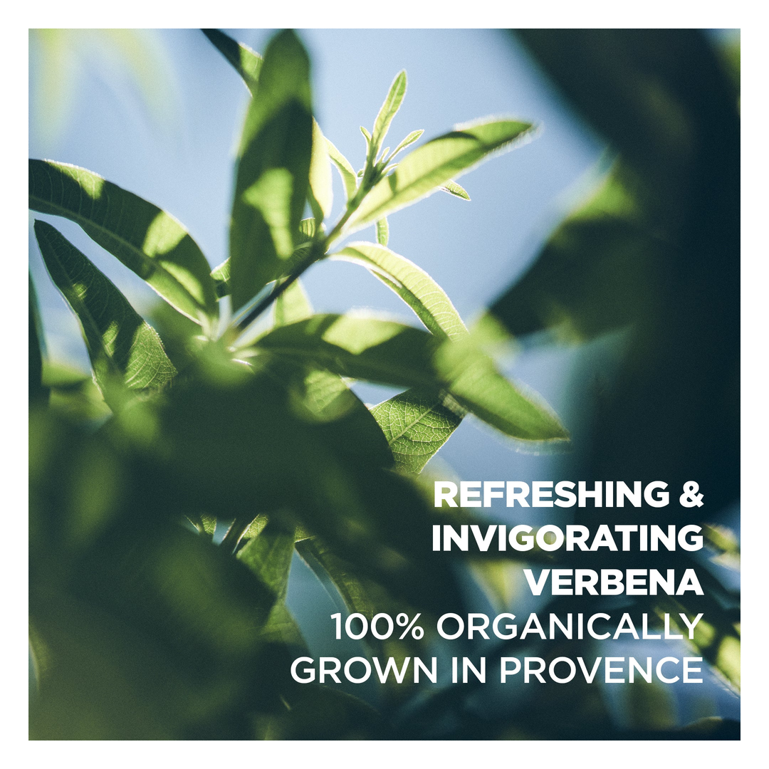 L'Occitane Verbena Foaming Bath