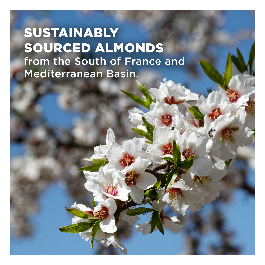 L'Occitane Almond Milk Veil