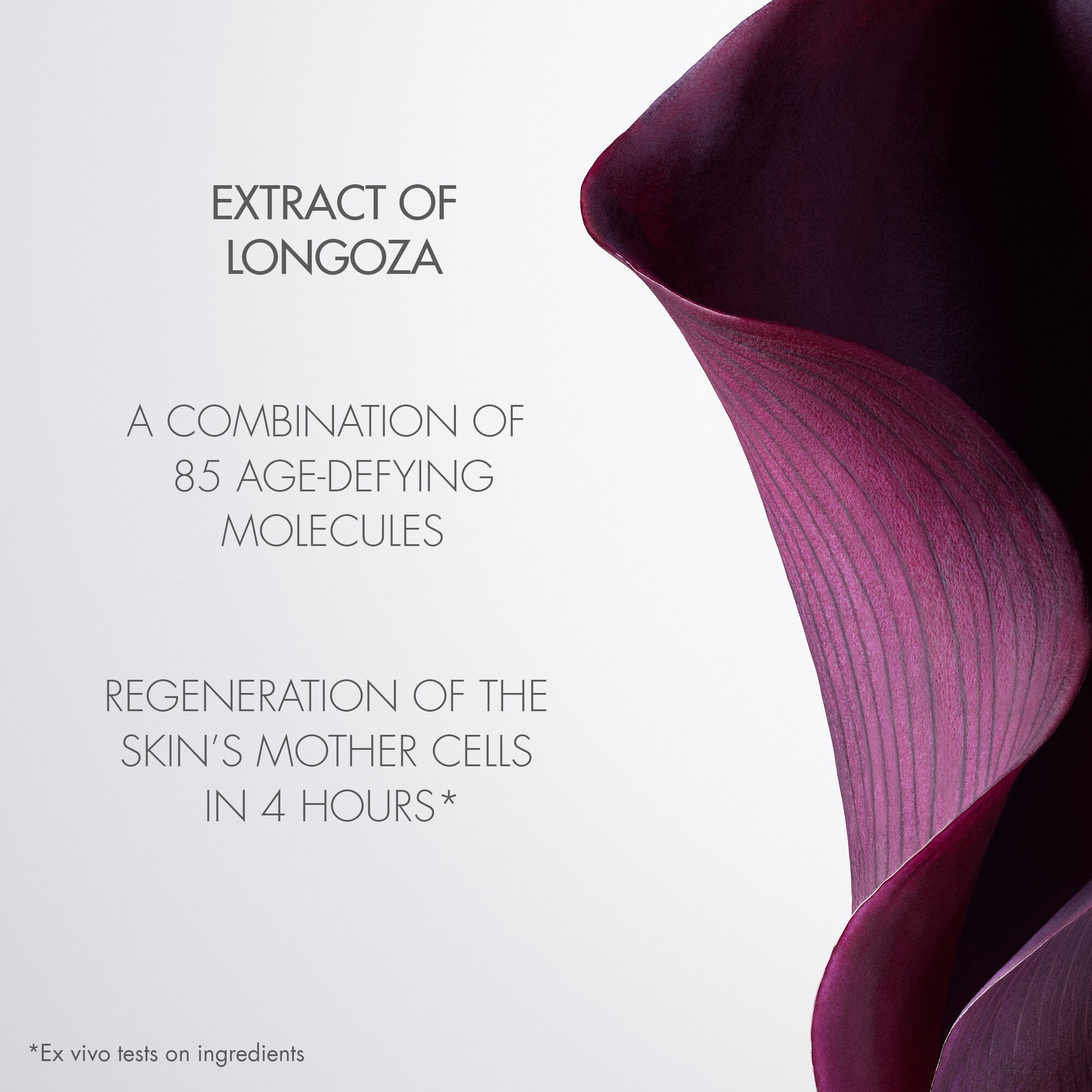 DIOR Capture Totale Youth-Revealing Skincare Ritual