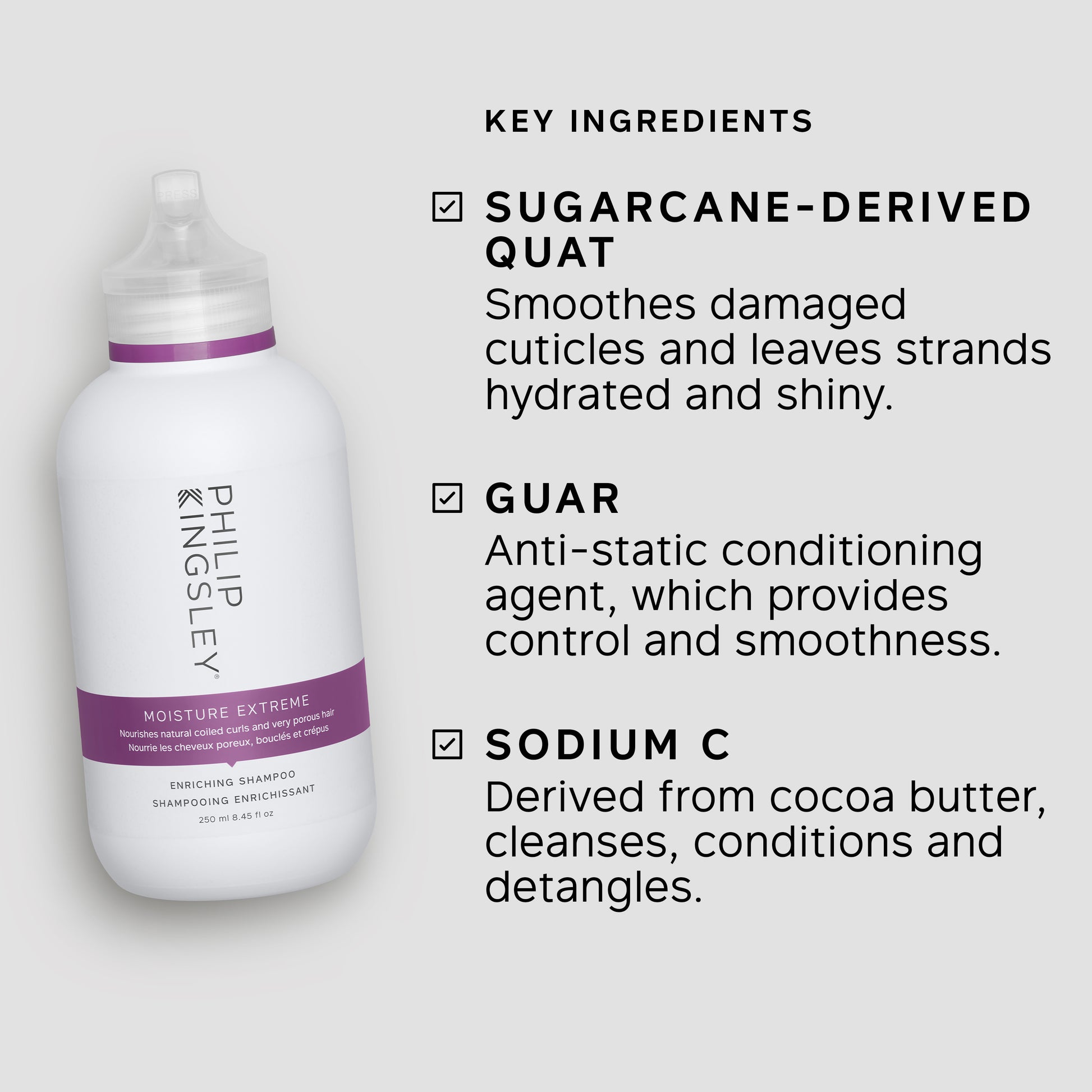 Philip Kingsley Moisture Extreme Enriching Shampoo