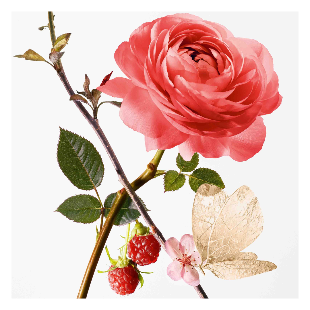 Goutal Rose Pompon Eau de Parfum Spray