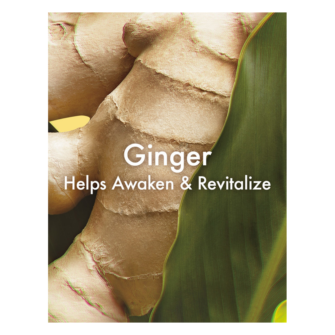 Origins Ginger Incredible Spreadable Smoothing Ginger Body Scrub