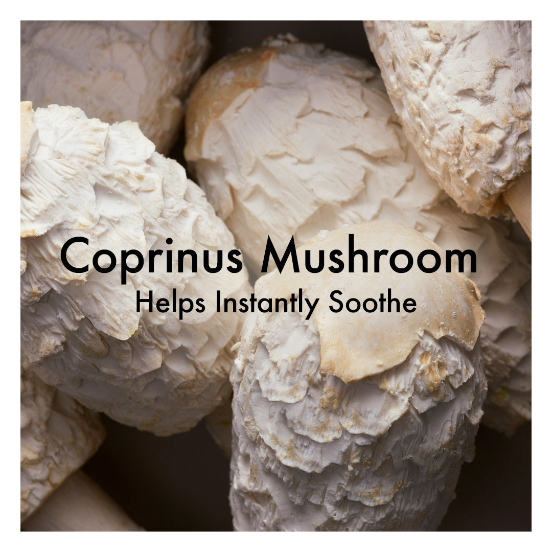 Origins Mega-Mushroom Relief & Resilience Hydra-Burst Lotion