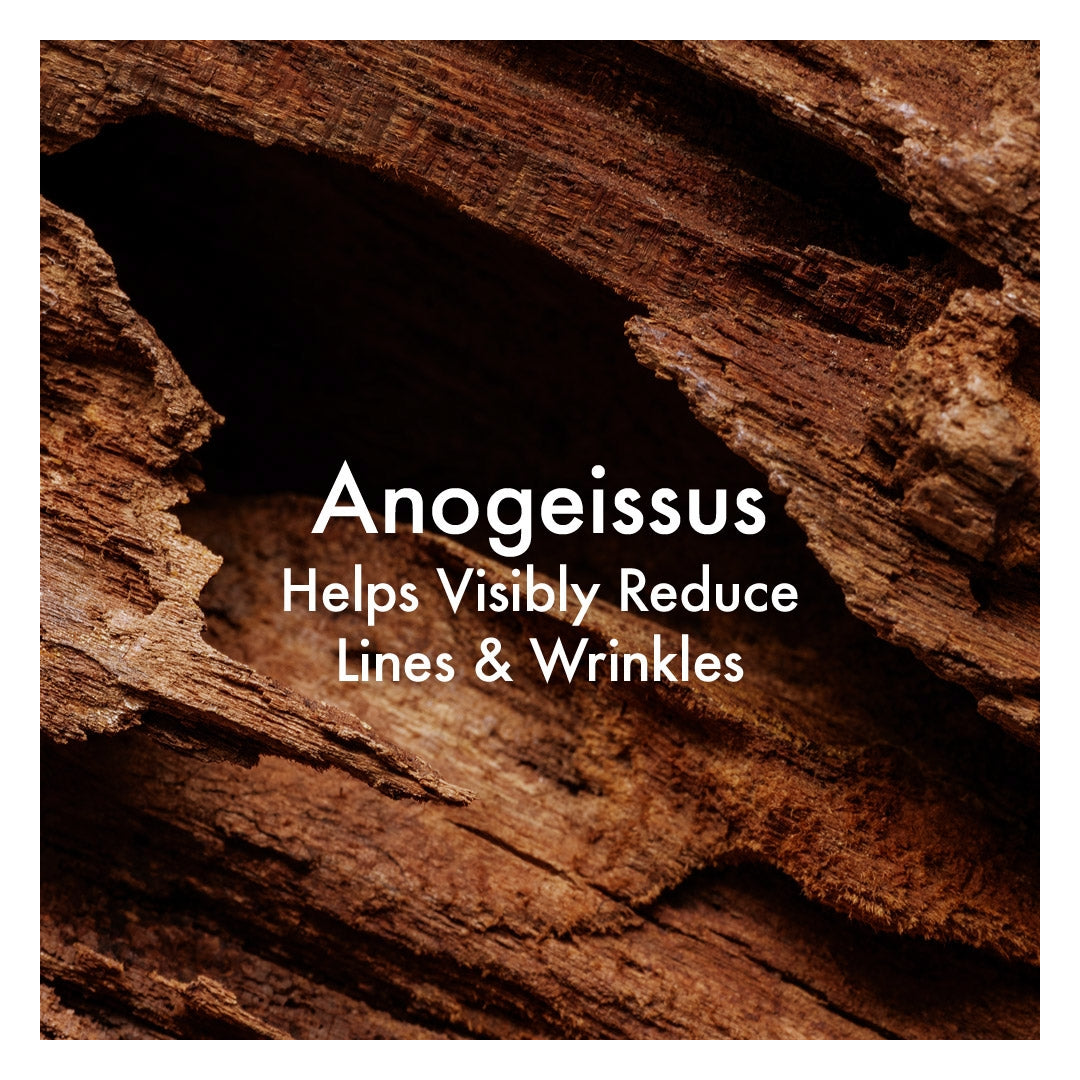 Origins Plantscription Multi-Powered Youth Serum