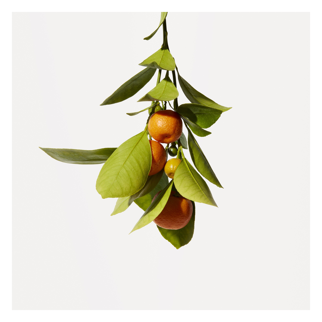 Origins Crisp Citrus Moisturising Hand Cream