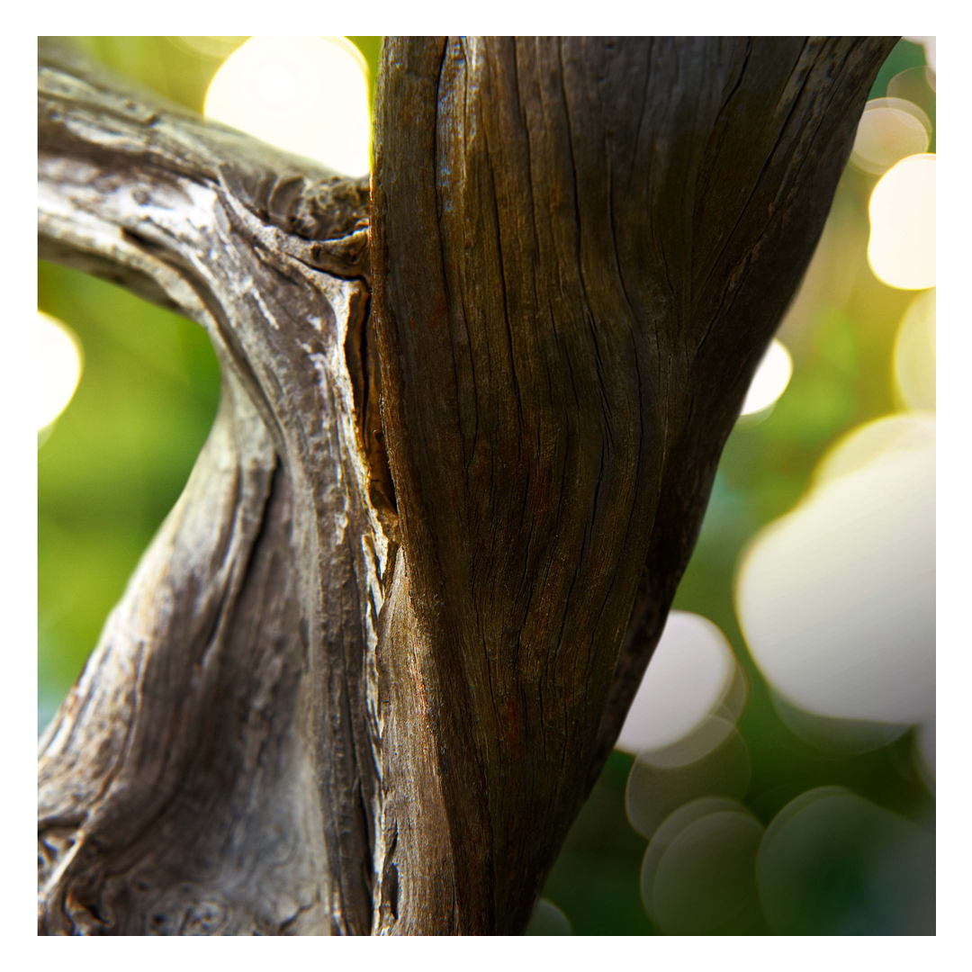 BVLGARI Man Wood Essence Eau de Parfum Spray 100ml Gift Set