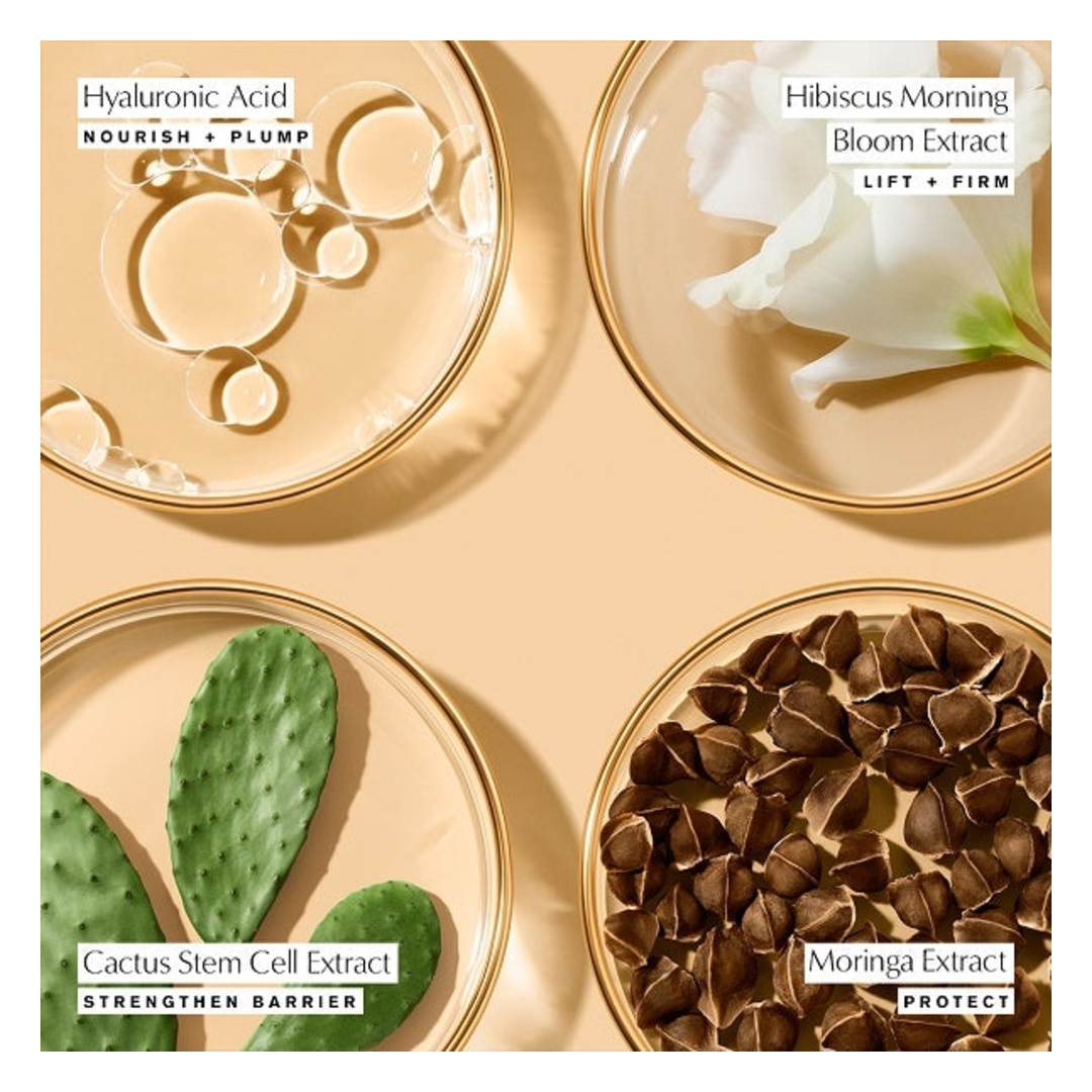 Estee Lauder Revitalizing Supreme+ Youth Power Eye Balm