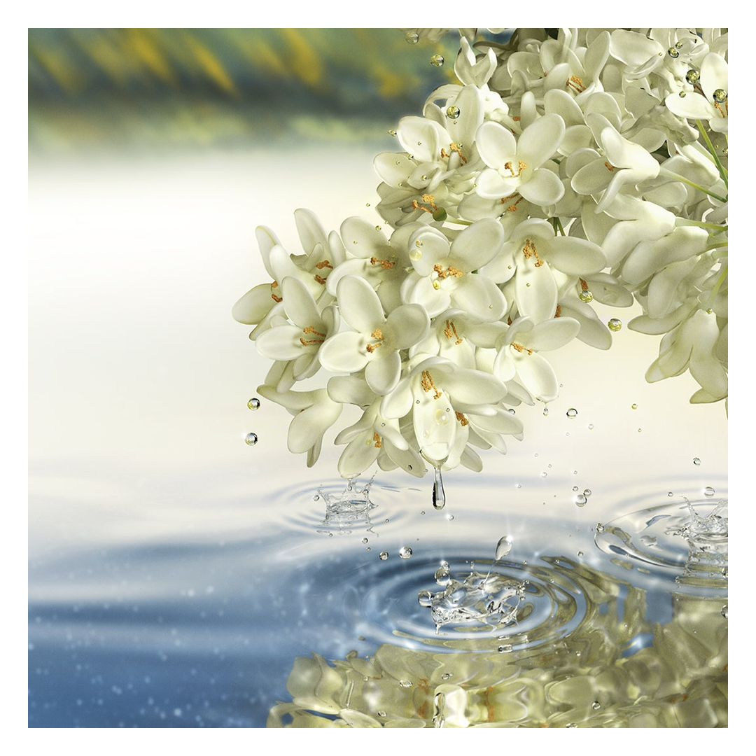 Estee Lauder Paradise Moon Eau de Parfum Spray