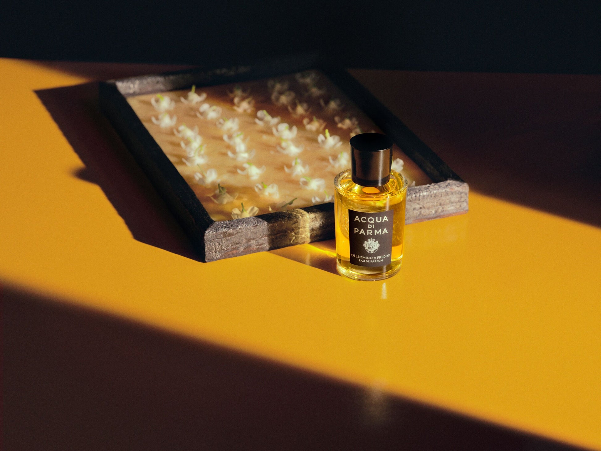 Acqua di Parma Gelsomino a Freddo Eau de Parfum
