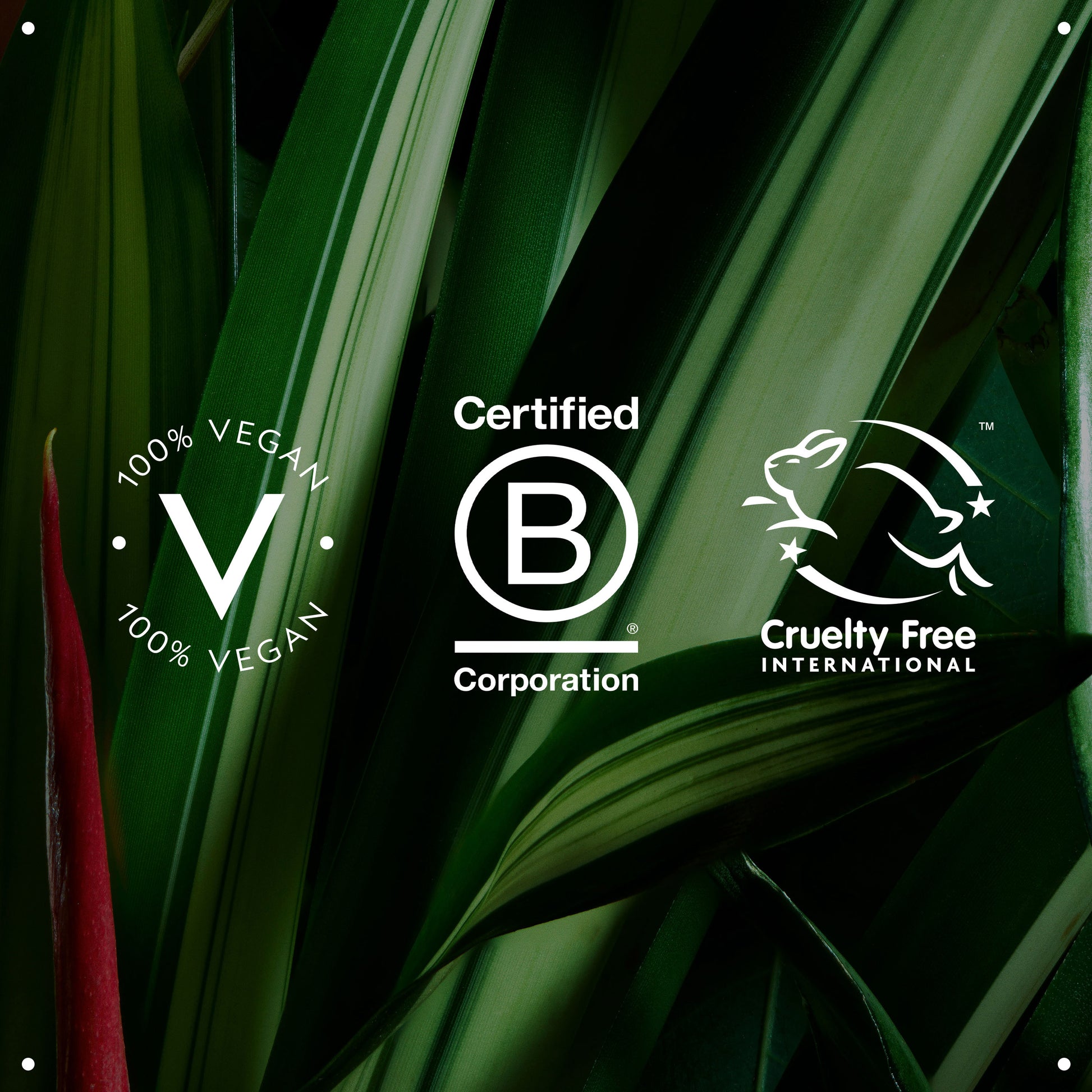 Aveda Botanical Repair Purple Toning Shampoo