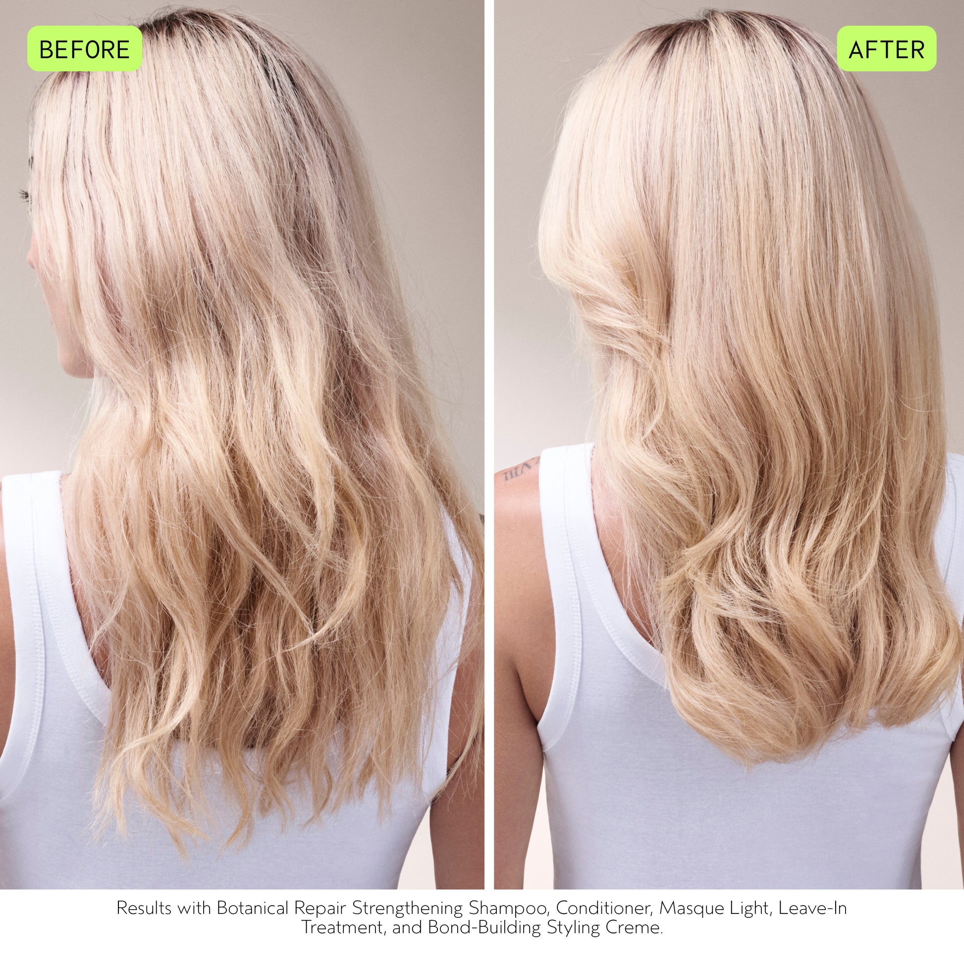 Aveda Botanical Repair Wellness Gift Set