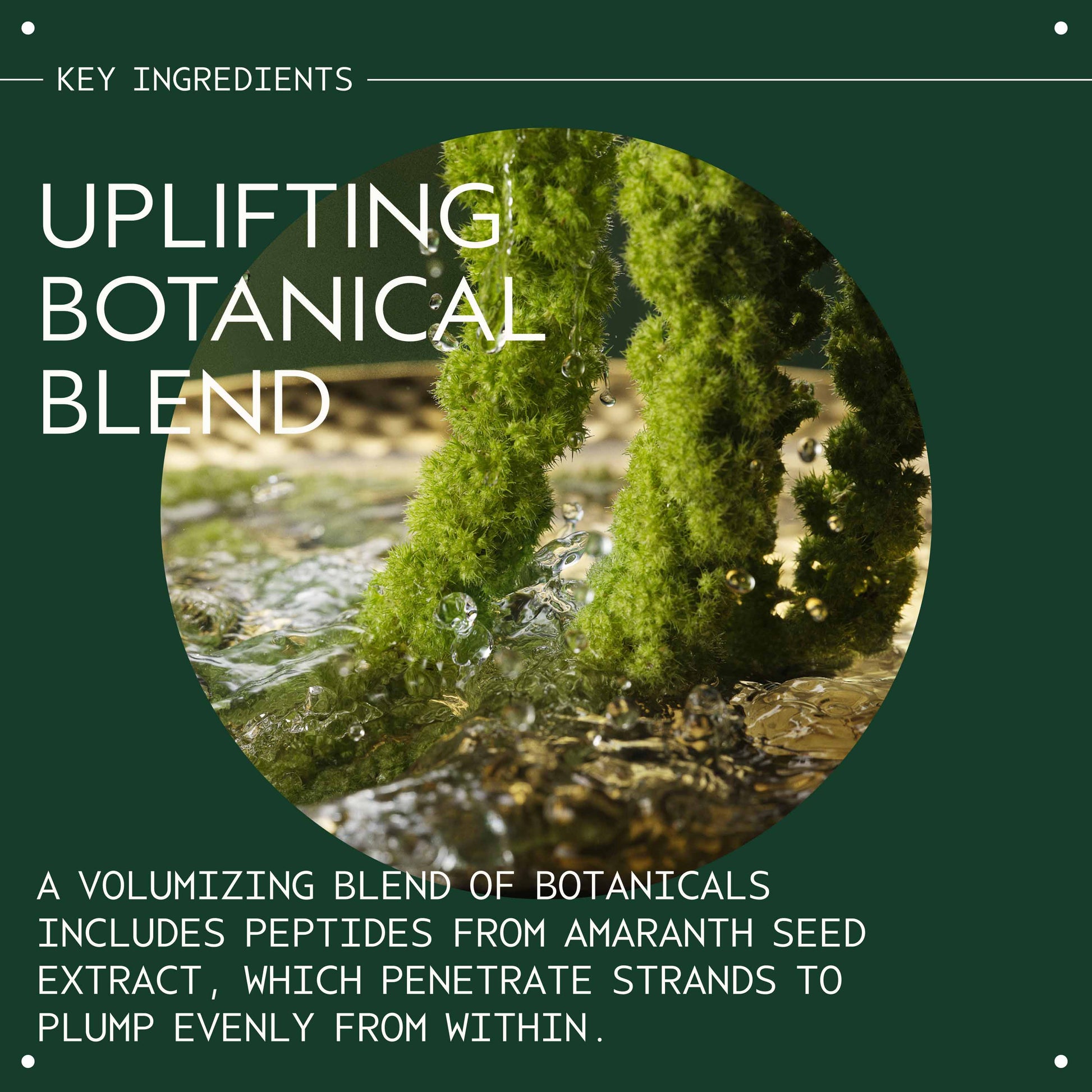 Aveda Pure Abundance Volumizing Shampoo