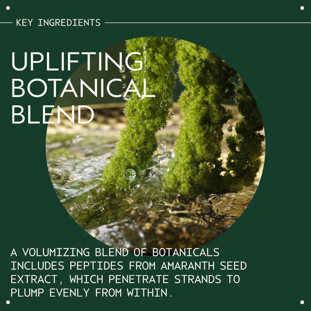 Aveda Pure Abundance Style-Prep