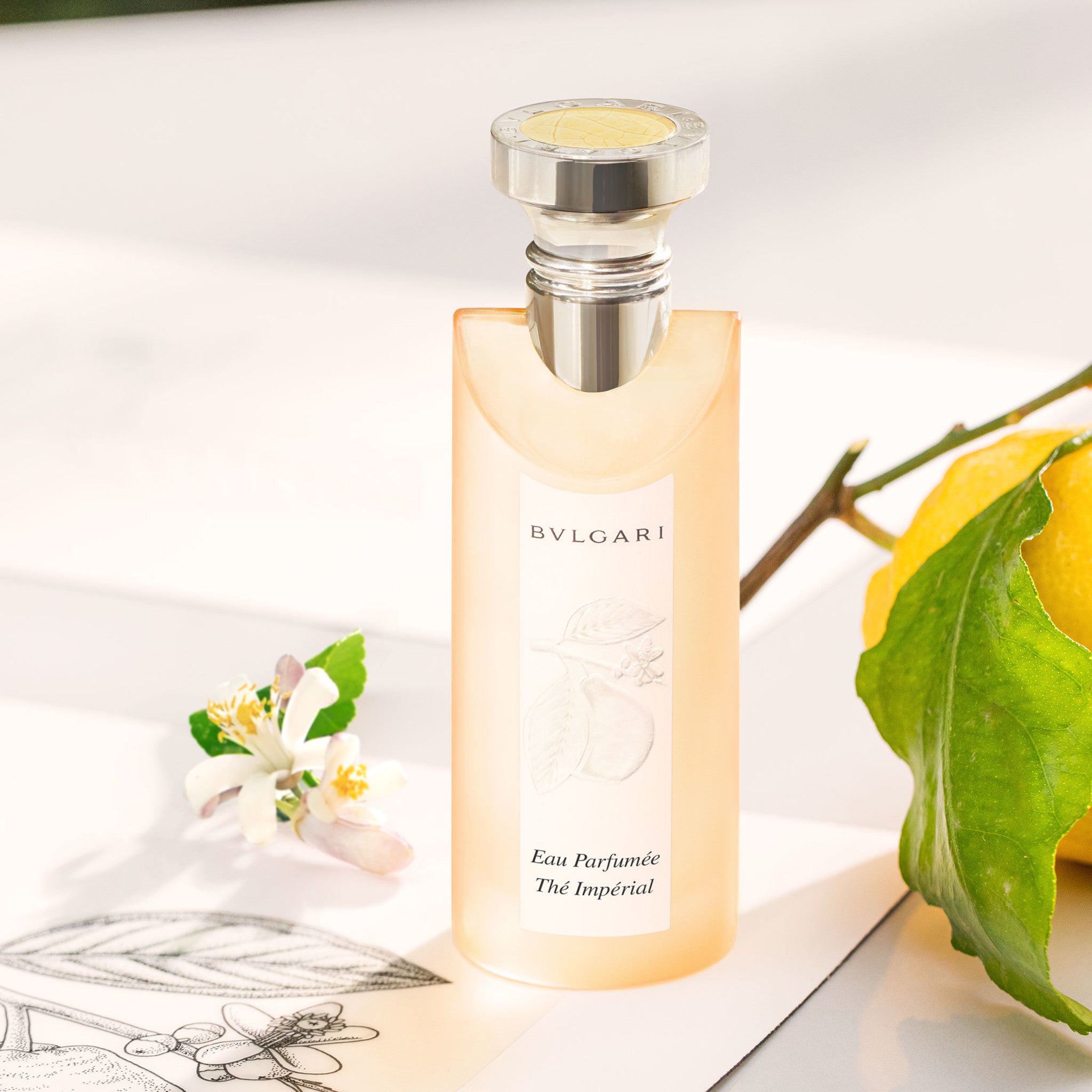 BVLGARI Eau Parfumee The Imperial Eau de Toilette – Escentual