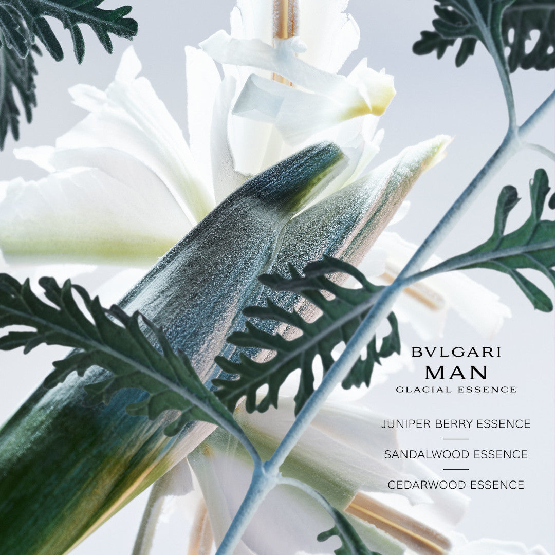 BVLGARI Man Glacial Essence Eau de Parfum Spray – Escentual