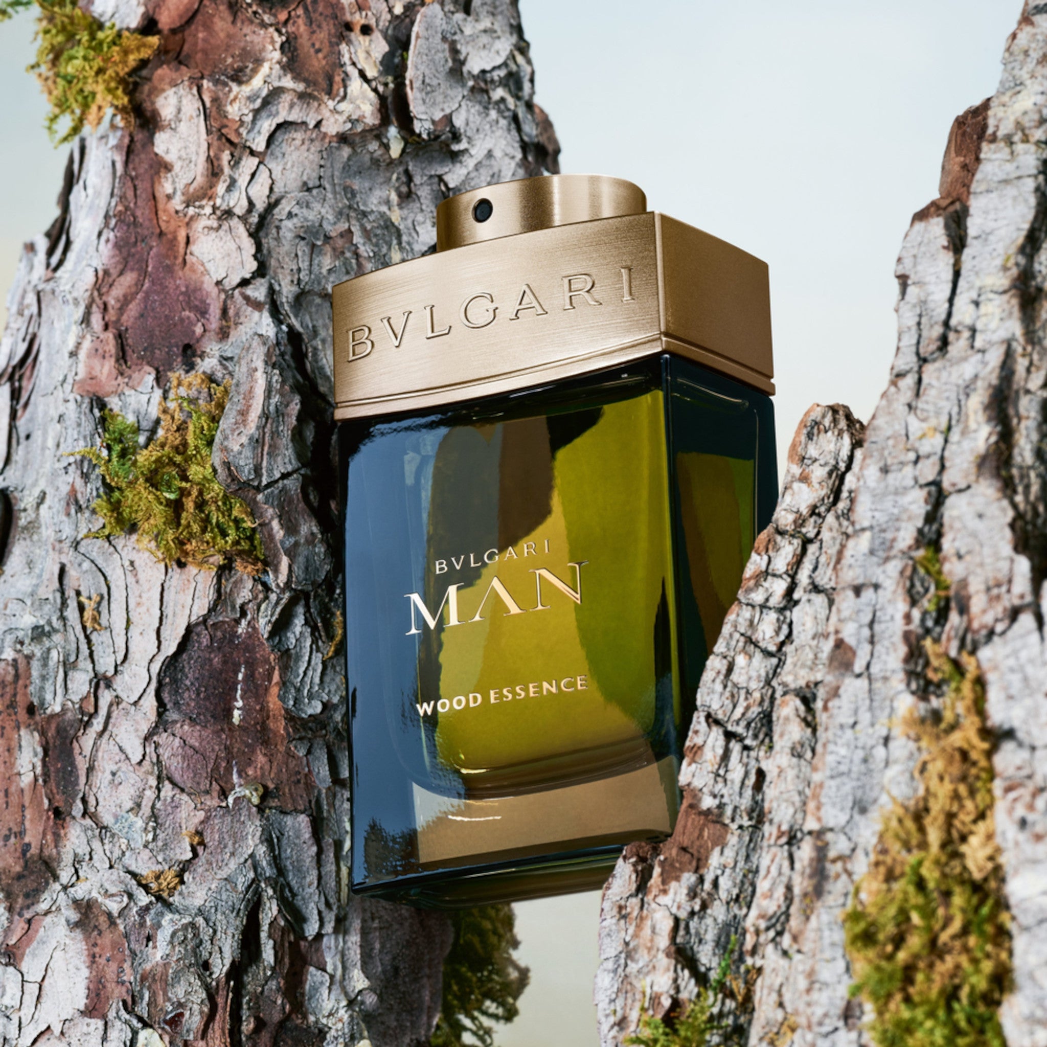 BVLGARI Man Wood Essence Eau de Parfum Spray 100ml Gift Set