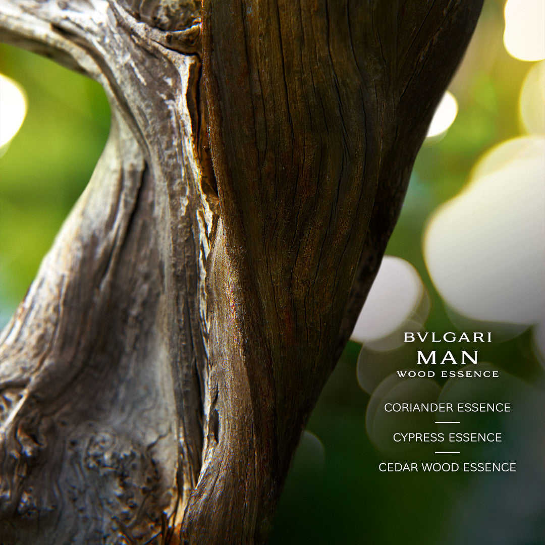 BVLGARI Man Wood Essence Eau de Parfum Spray – Escentual