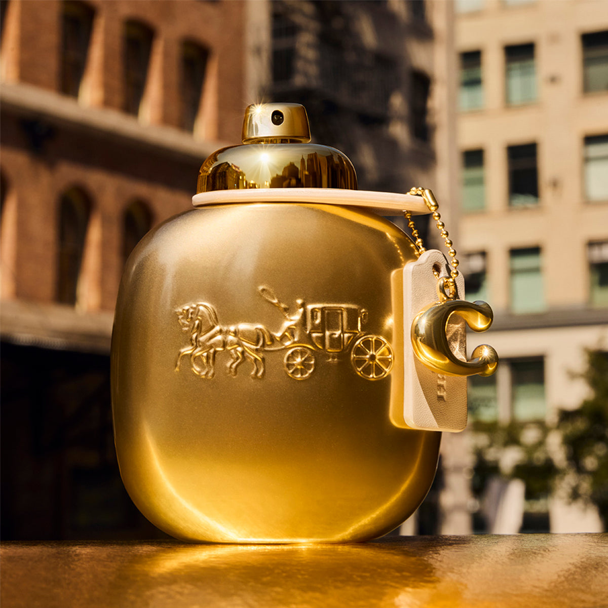 Coach Gold Parfum 50ml Gift Set
