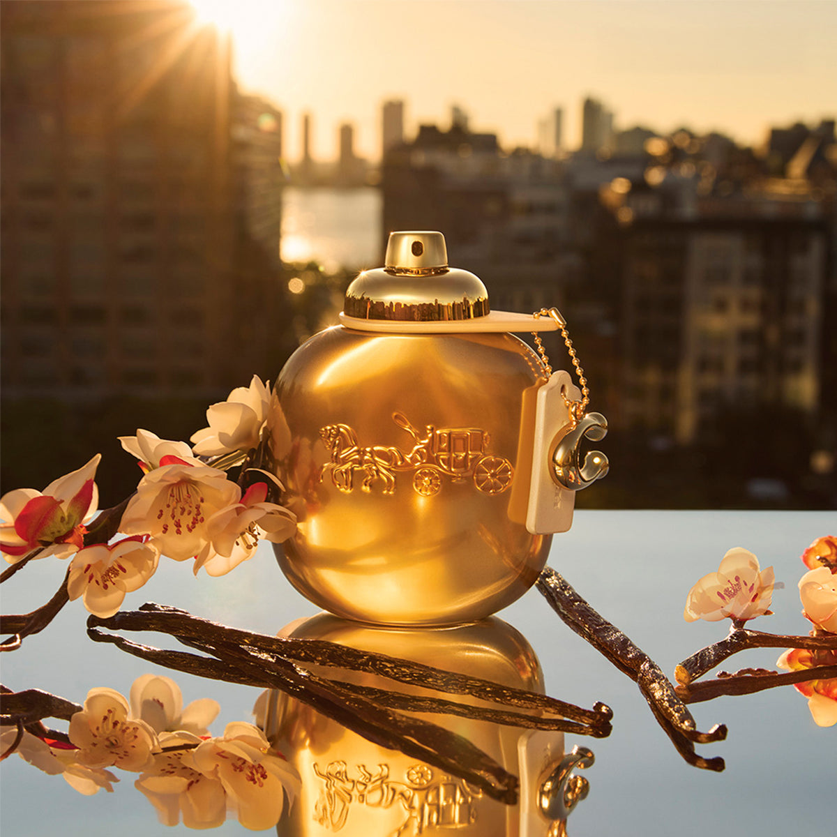Coach Gold Parfum 50ml Gift Set