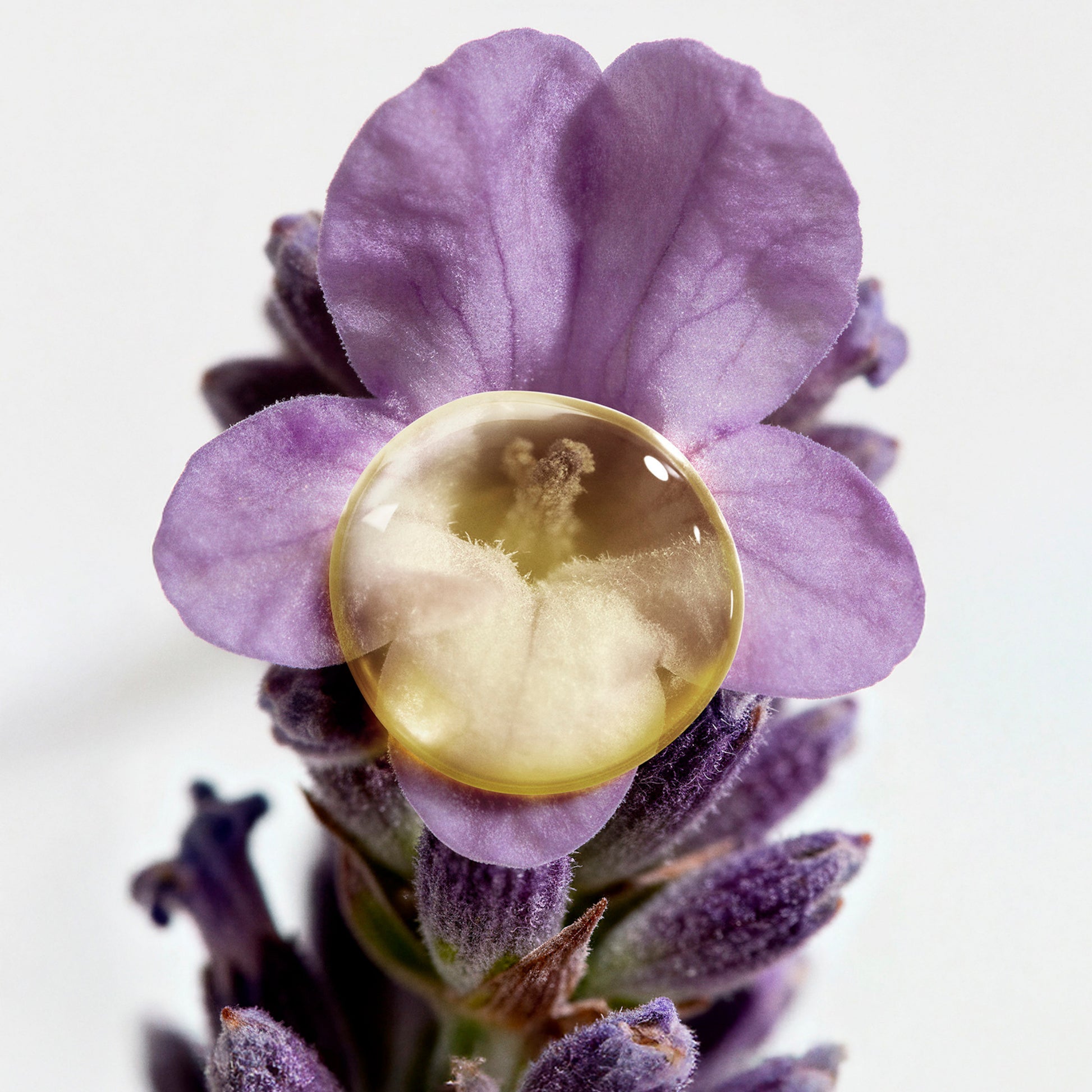 Decleor Lavender Iris Aromessence Face Oil-Serum