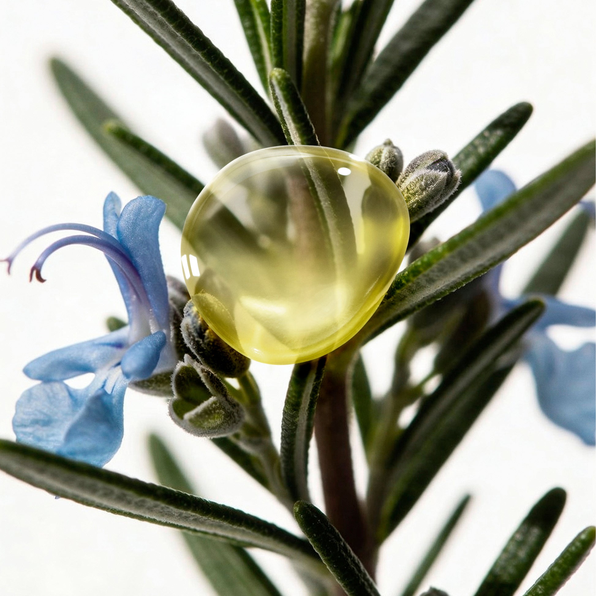 Decleor Rosemary Officinalis Aromessence Face Oil-Serum