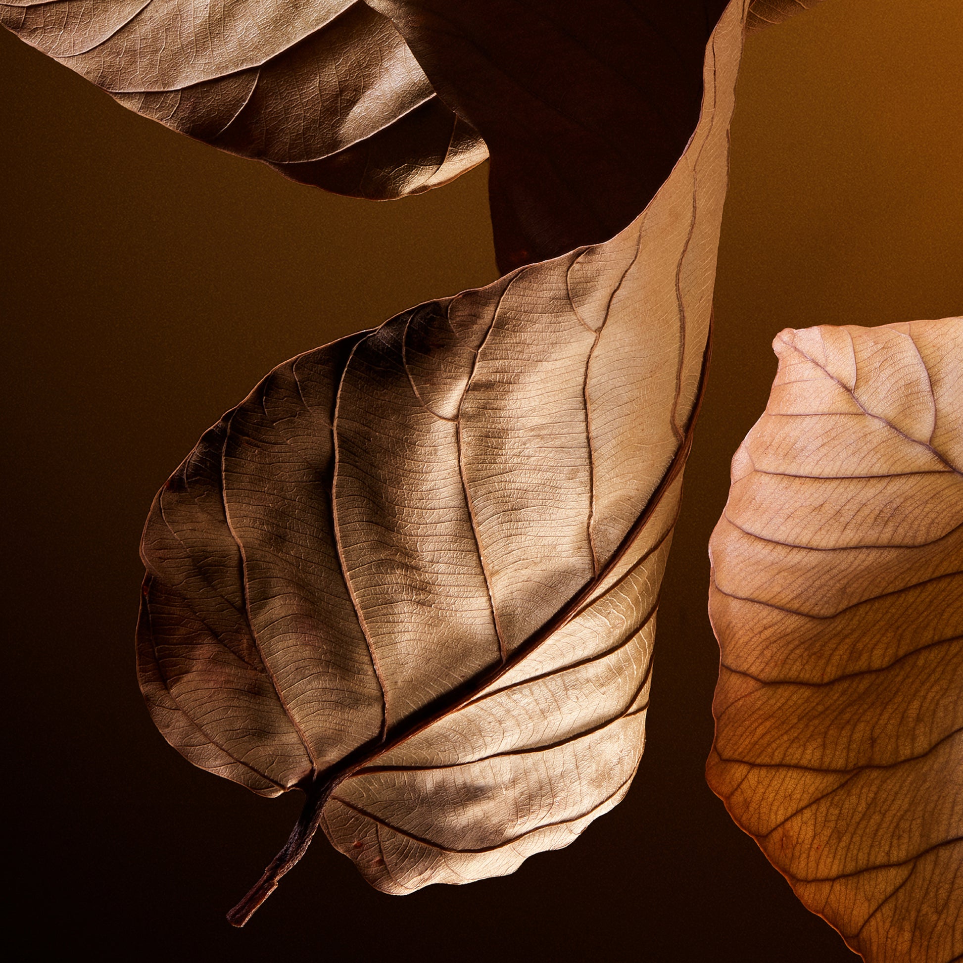 Dolce & Gabbana The One For Men Parfum