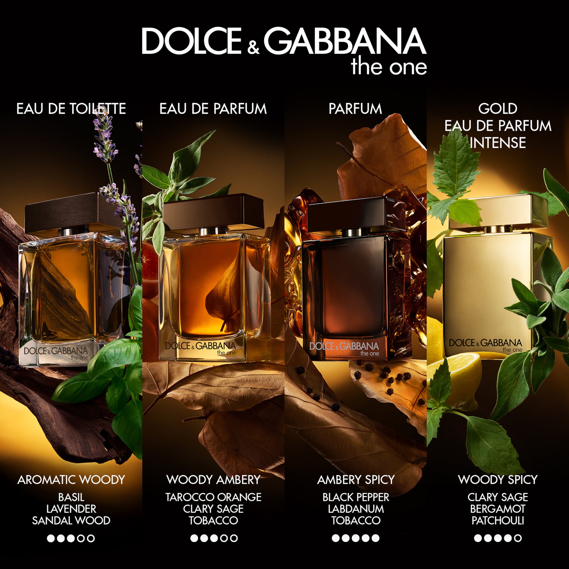 Dolce & Gabbana The One For Men Parfum