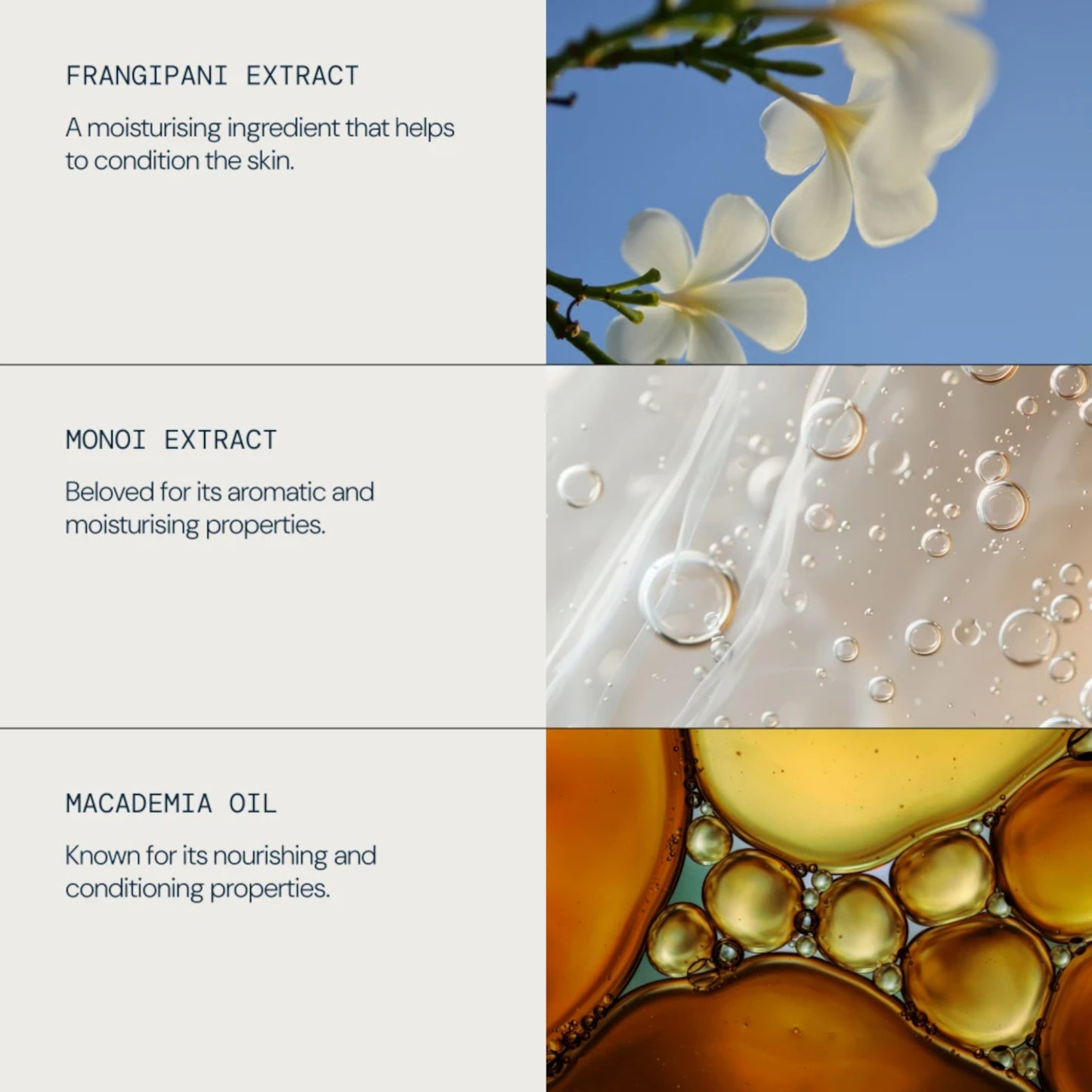 Elemis Frangipani Monoi Body Cream