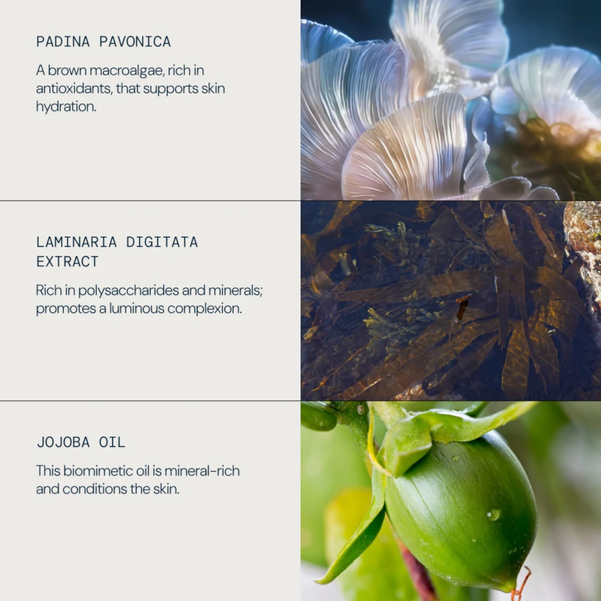 Elemis Pro-Collagen Marine Oil