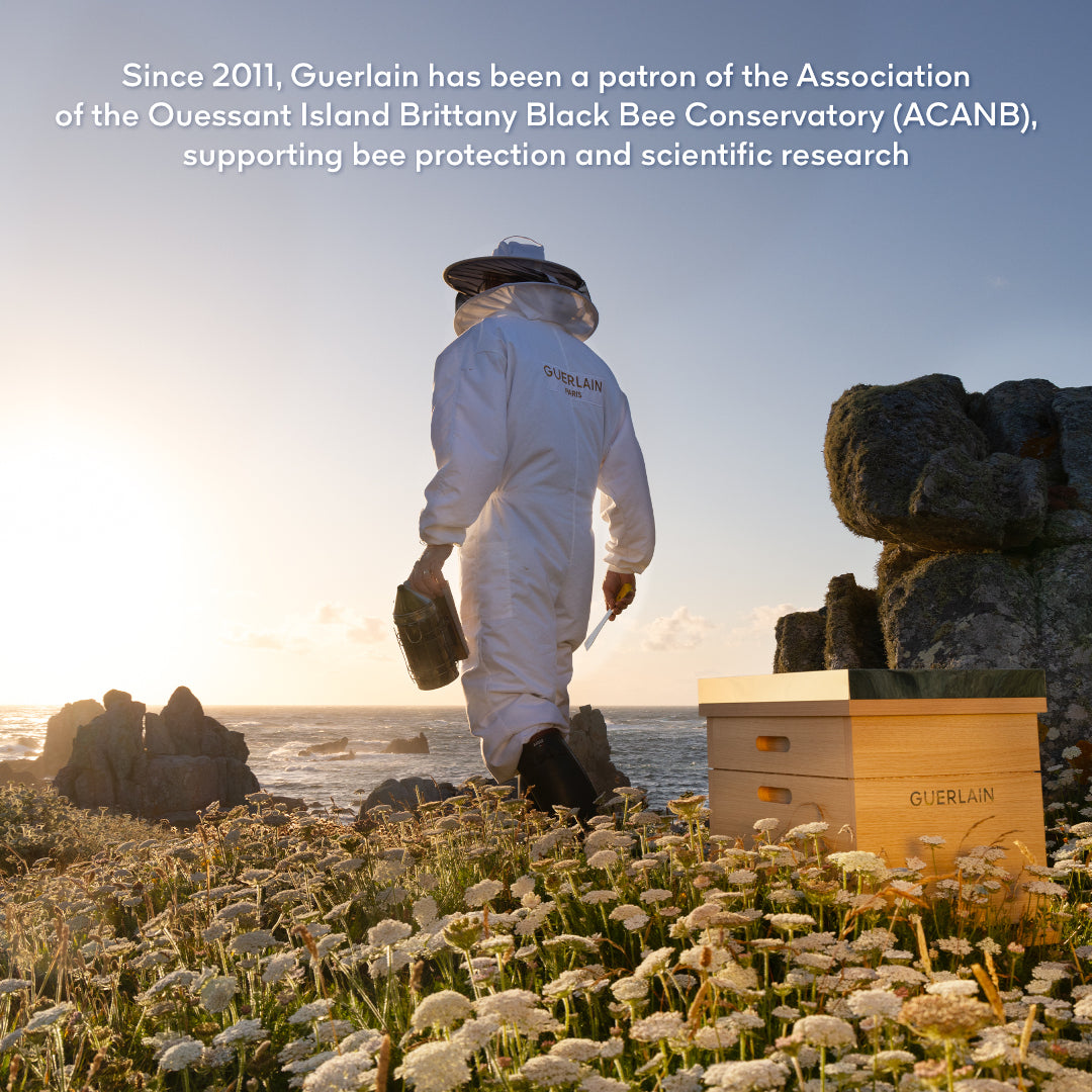 GUERLAIN Abeille Royale Discovery Gift Set