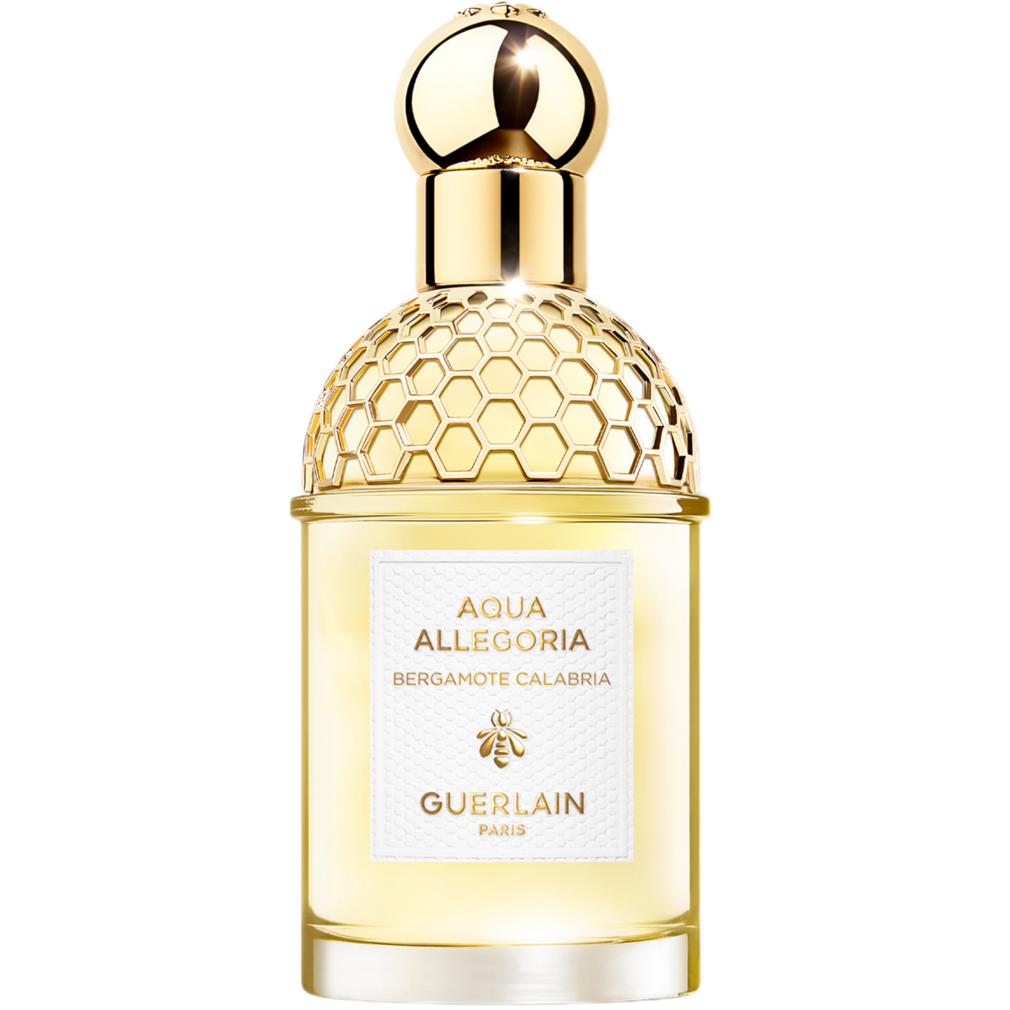 aquaallegoria32
