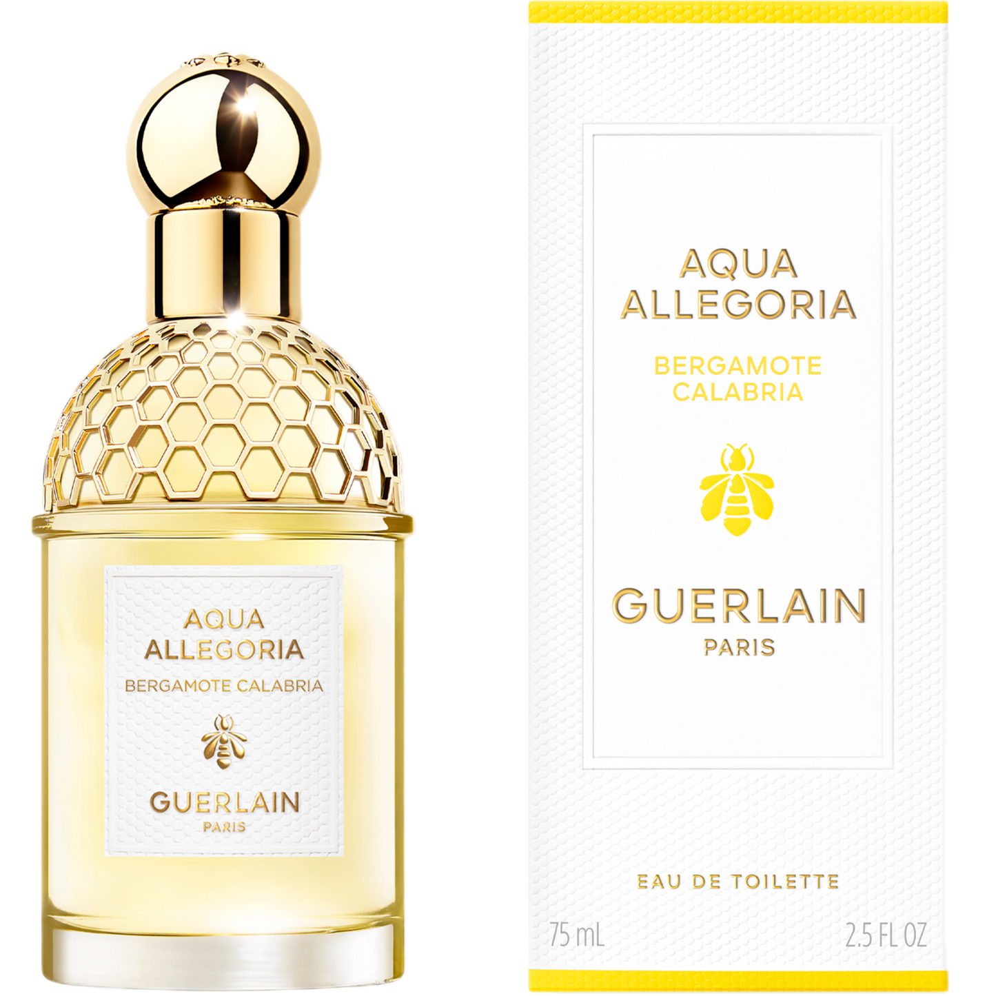 aquaallegoria32