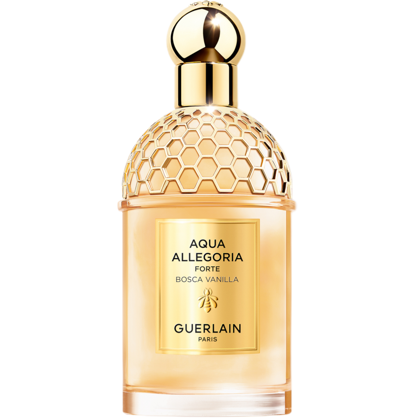 aquaallegoria108