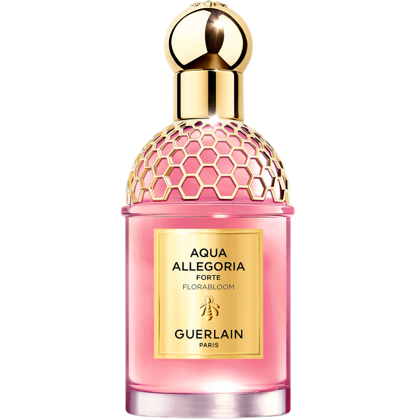 aquaallegoria121