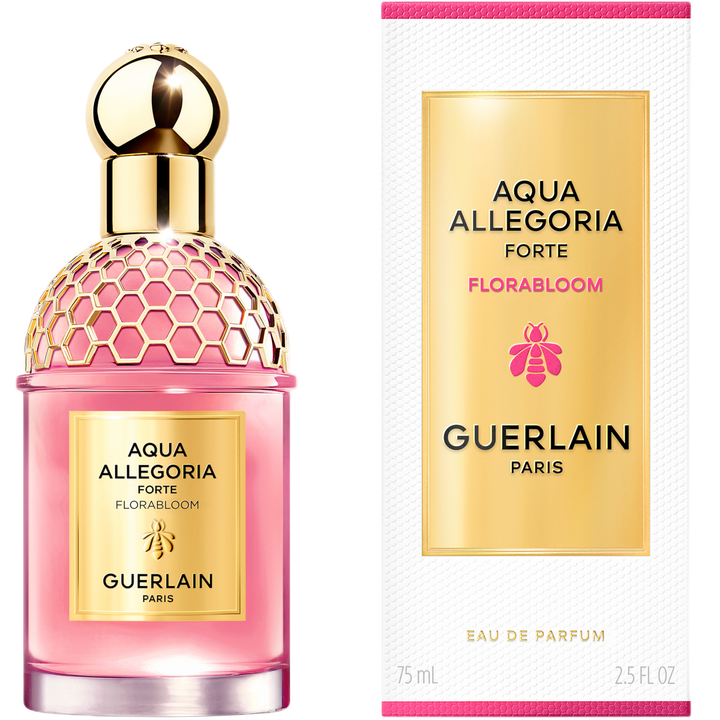 aquaallegoria121