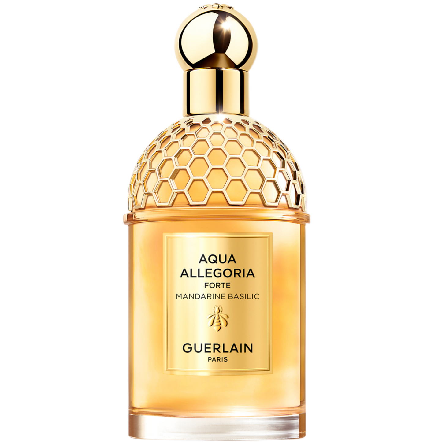 aquaallegoria093