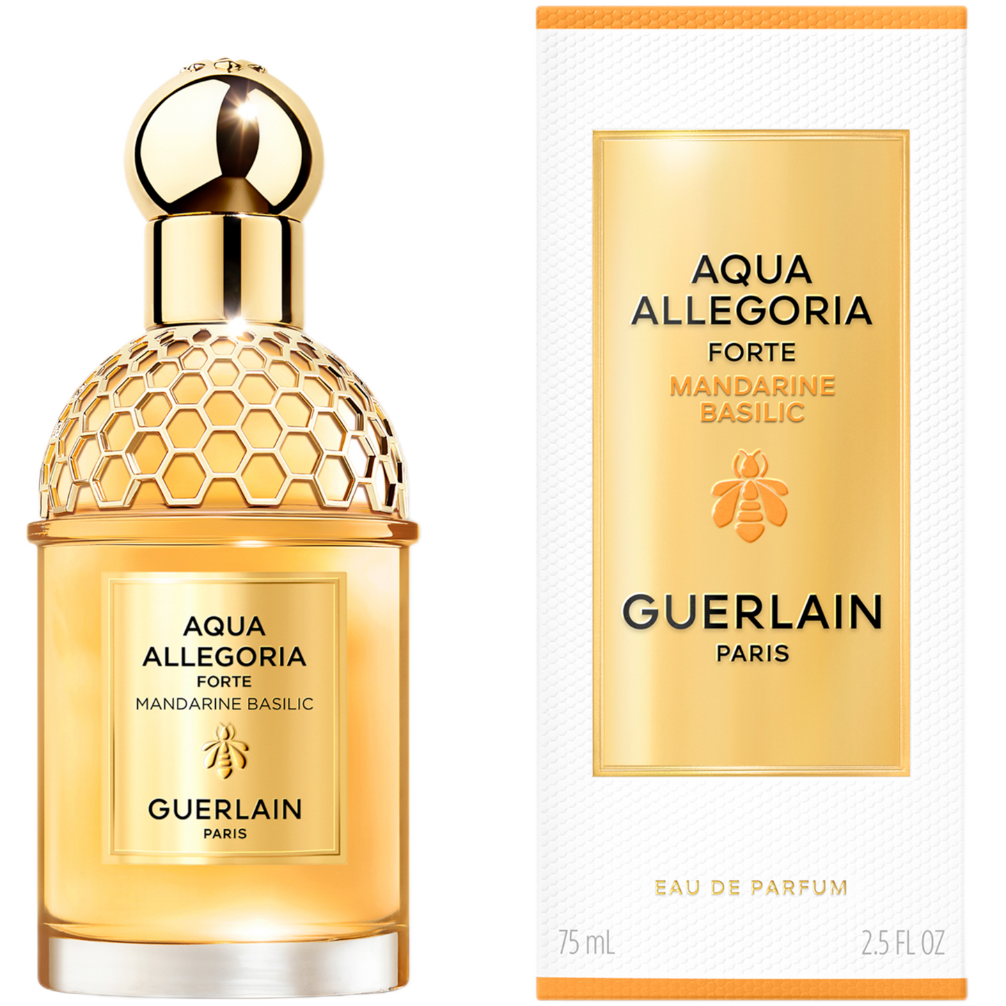 aquaallegoria092
